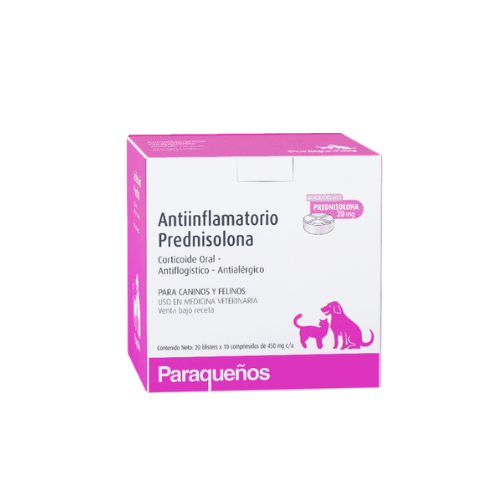 Antiinflamatorio Prednisolona