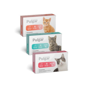 Pulgar Comprimidos Gatos